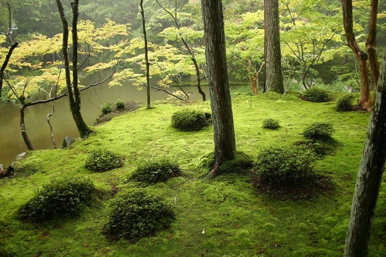 Лекция Елены Голосовой «Японский сад — многоликий, но узнаваемый»