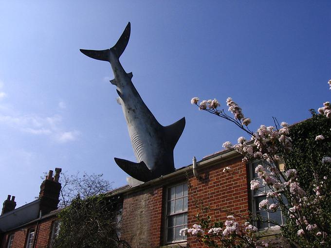 Headington Shark House, Лондон