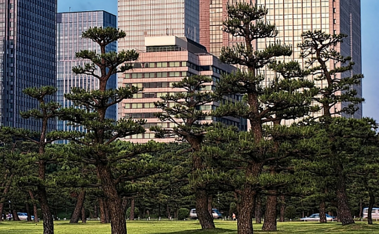 Лекция «Зеленая инфраструктура Токио: парки как главный потенциал мегаполиса» 