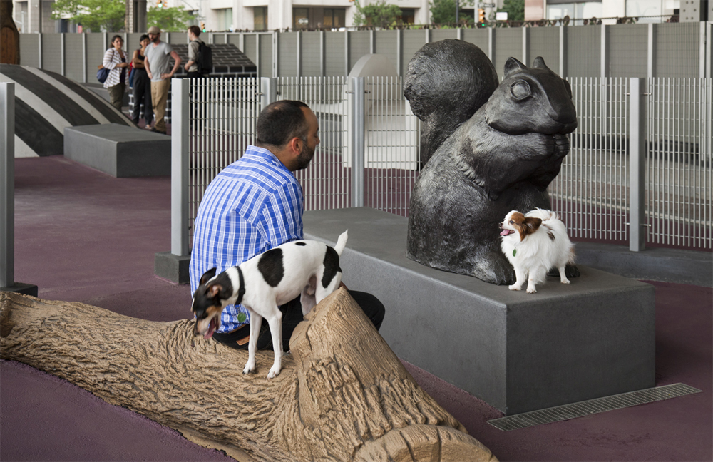Собачья площадка на набережной Ист-Ривера